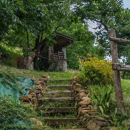 팜스테이 Dai Gobbi
